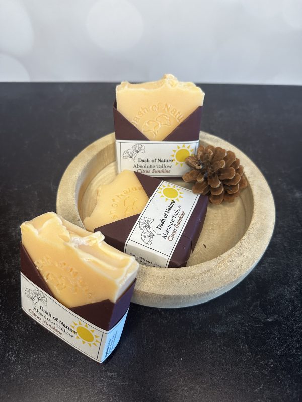 Tallow Soap made by dash of nature. Features 3 tallow soaps arranged neatly with a shallow wooden dish and a pinecone decoration